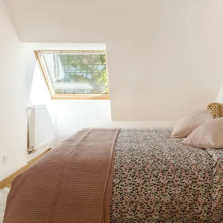 De Standing 8 Personnes Centre Historique De Appartement Colmar