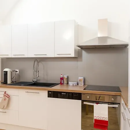 De Standing 8 Personnes Centre Historique De * Colmar