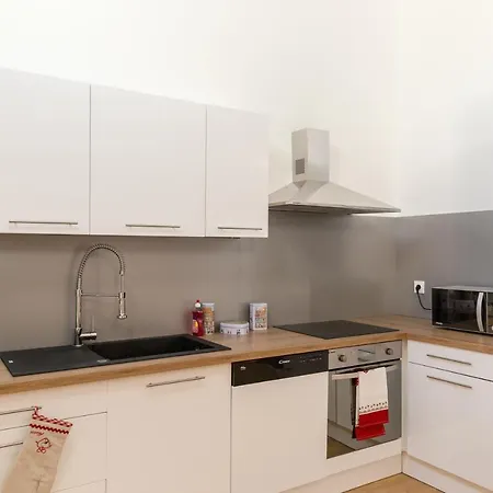 De Standing 8 Personnes Centre Historique De Colmar